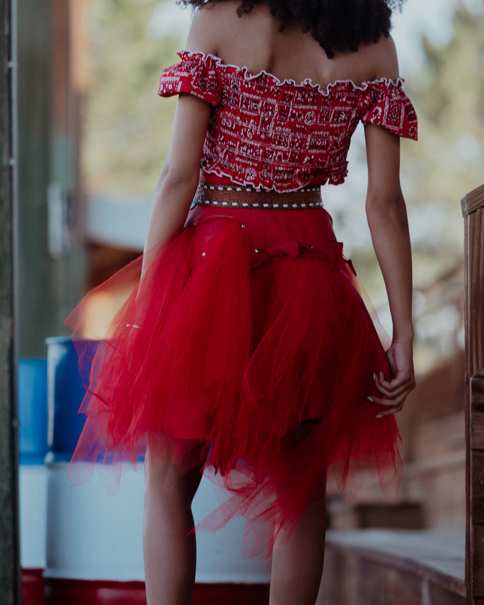 Red Tulle Skirt